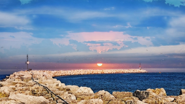 篮球场及健身器材有什么